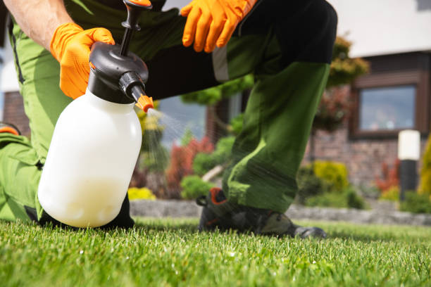 Best Best Pest Control Companies  in West Chicago, IL