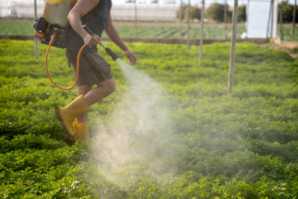 Best Pest Removal Services  in West Chicago, IL
